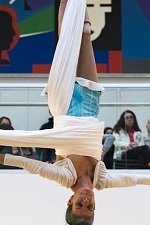 Robin Lynch, Aerialist
